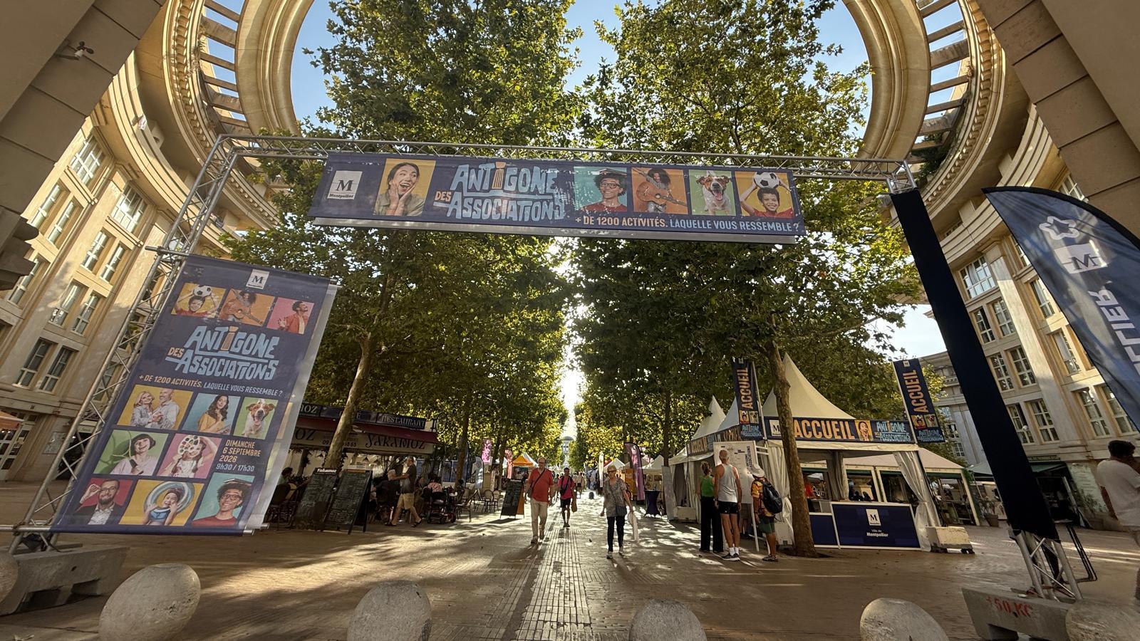Champions, démos et spectacles : le programme phare de l’Antigone des associations ce dimanche