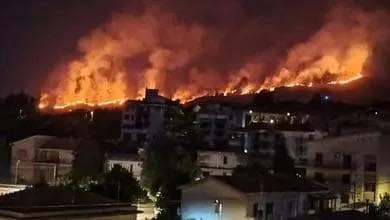 L’Amministrazione Comunale di Roccapalumba esprime profondo dolore e sincera vicinanza alla comunità di Ciminna per la t...
