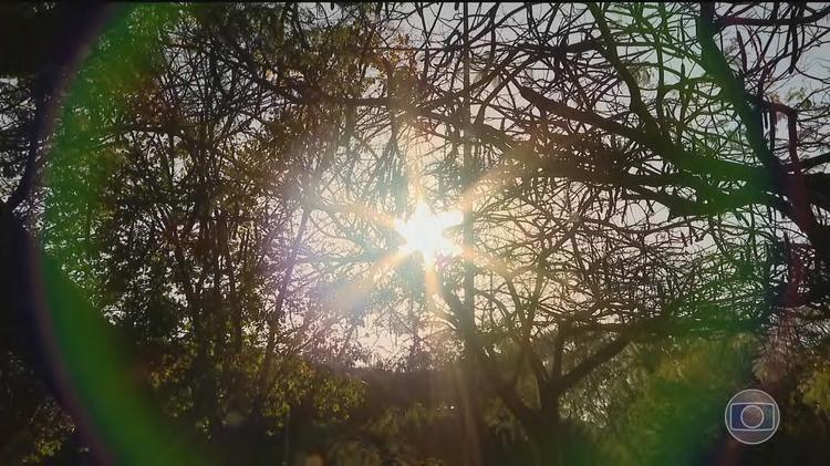 Especialistas cobram que autoridades planejem ações em cidades brasileiras para enfrentar a chegada do El Niño