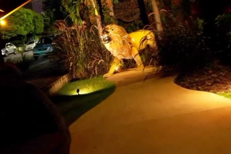 VÍDEO: Estátua de leão é furtada e hamburgueria oferece recompensa de lanche grátis em MS