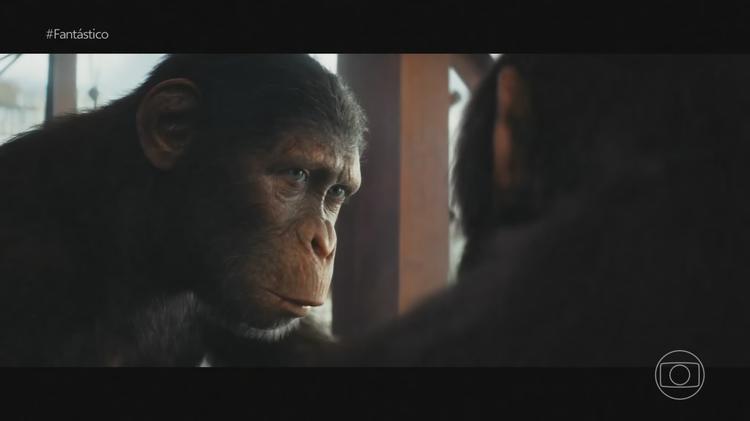 Temporada de grandes filmes do ano tem grupo de macacos, guerreira pós-apocalíptica e cantora de sucesso; veja