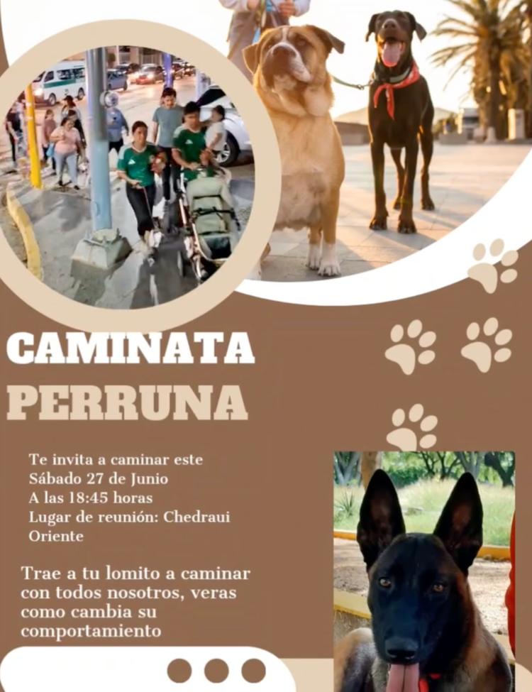 Caminata Perruna