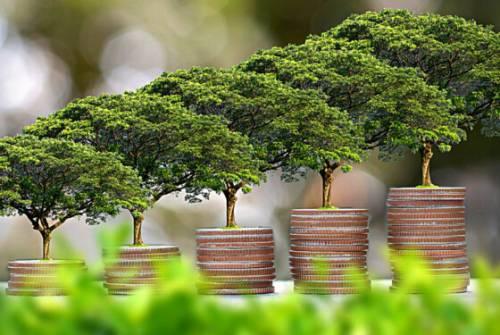 Anche gli investitori istituzionali puntano sulla finanza sostenibile