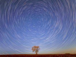 Come in cielo così in Terra: Leone XIV e la difesa del cosmo rubato