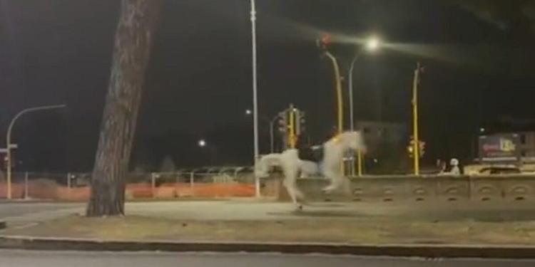 Spaventati dai petardi, i cavalli della parata del 2 giugno in fuga a Roma