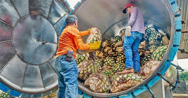 Plataforma Emprega Coop usa inteligência artificial para conectar talentos a cooperativas de crédito na Amazônia Legal