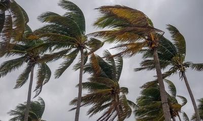 Ráfagas de viento marcan la tarde de este sábado, según INDOMET
