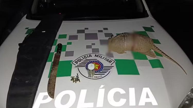 Trio é multado em R$ 3 mil por morte de tatu em área de proteção ambiental no interior de SP