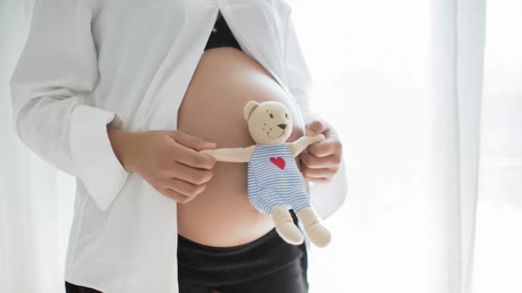 Nova lei muda prazo para salário-maternidade do INSS