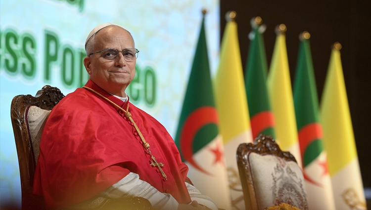 Papst Leo XIV. auf Afrikareise