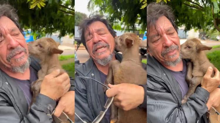 VÍDEO: filhotinho de cabra é levado por motoboy no Paraná, campanha para encontrá-lo viraliza e reencontro é filmado: ‘Fica sempre do meu lado’