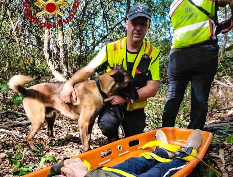 TORINO – Pensionato si allontana da una struttura sanitaria, ritrovato in una zona boscata