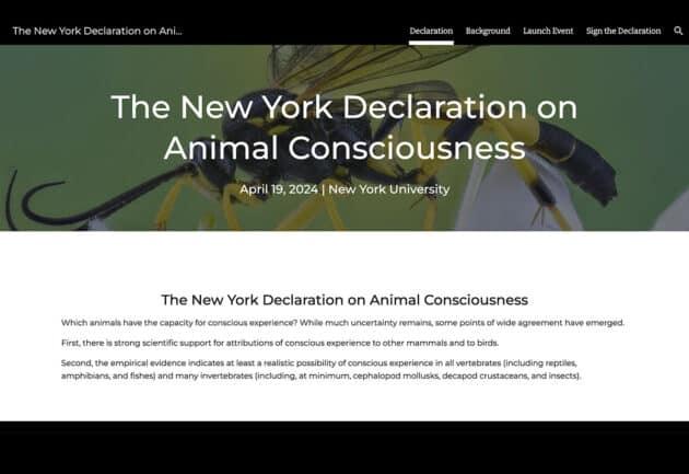 Screenshot der Webseite der „New York Declaration on Animal Consciousness“.Copyright: New York University