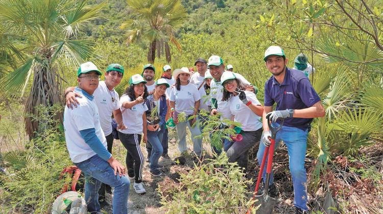 Siembran 600 árboles nativos para rescatar la Sierra Montenegro en Emiliano Zapata