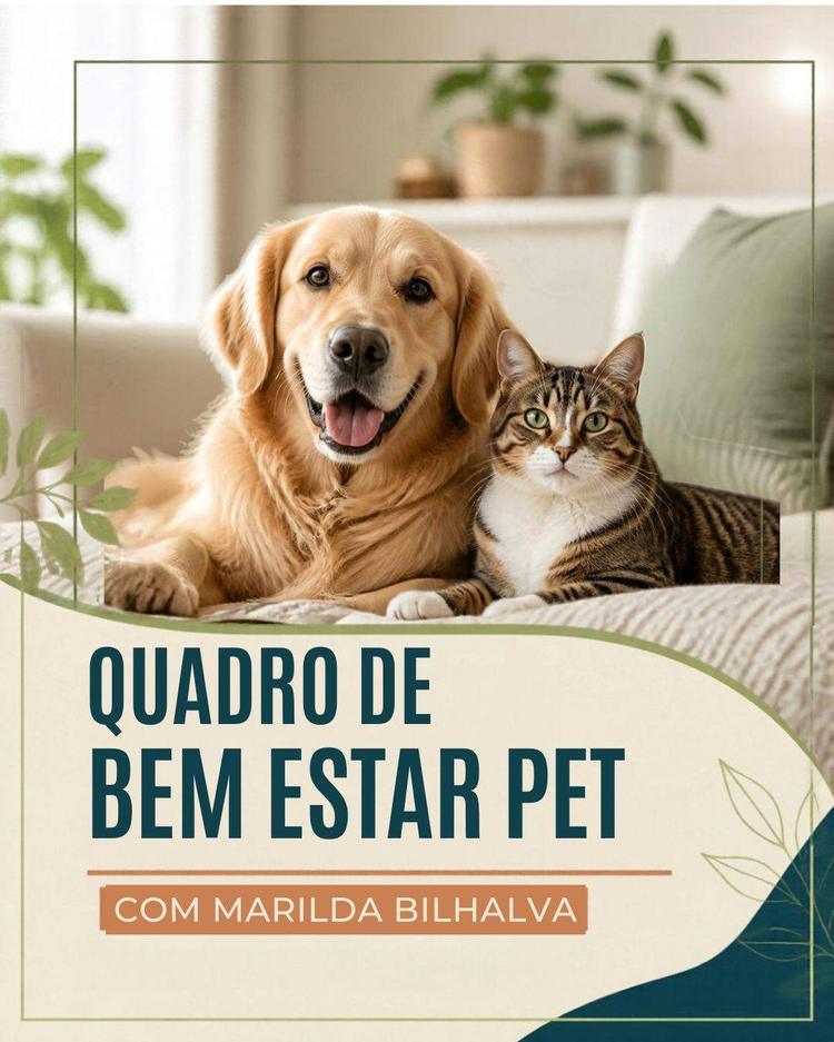 BEM ESTAR PET: FEZES COM MUCO OU SANGUE NÃO É NORMAL