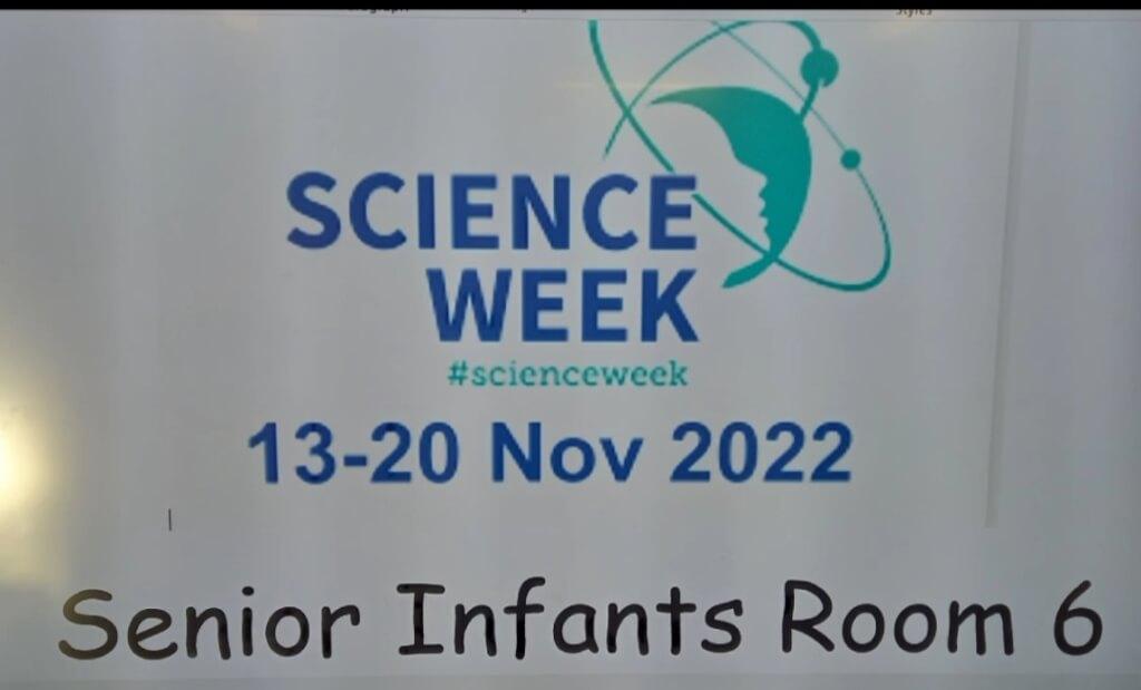 Science Week in Room 6 Senior Infants
