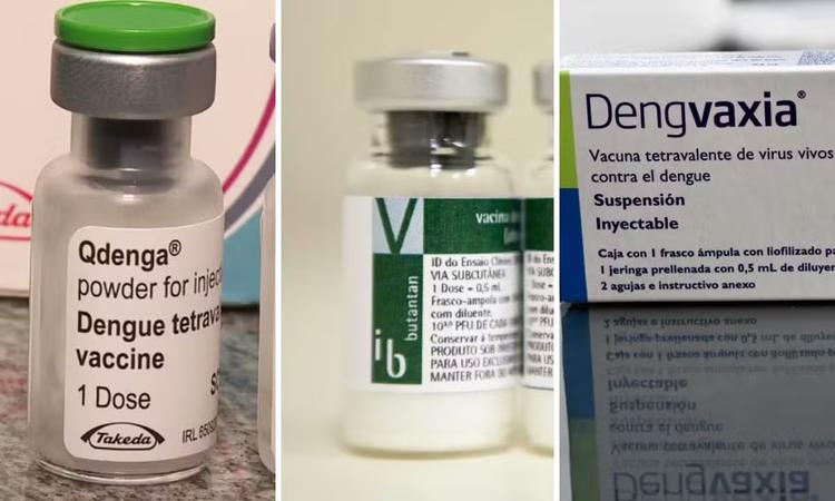 Vacinas contra a dengue: quem pode tomar Qdenga, Butantan-DV e Dengvaxia — e quem fica de fora