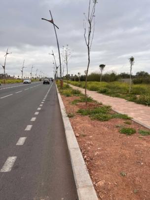 تهيئة طريق الشريفية.. لماذا حرمت الساكنة من المساحات الخضراء؟