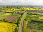 Seed Sector 2045: Why Plant Breeding IP Matters for Europe’s Future
