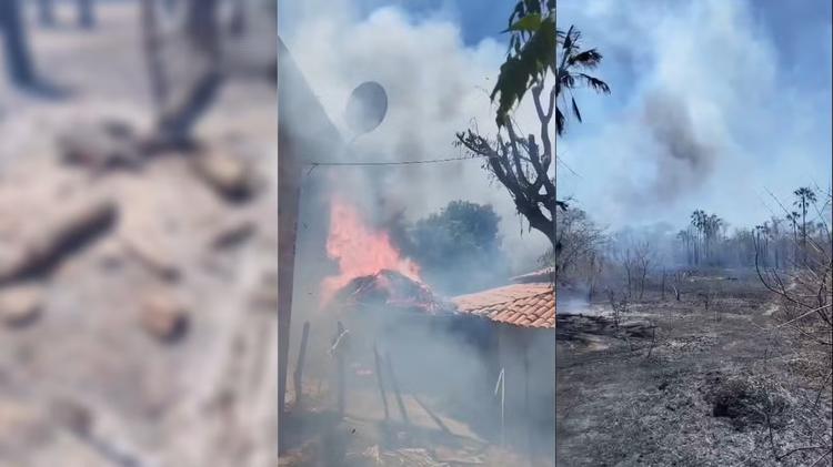 VÍDEO: Fogo em área de vegetação mata animais e destrói propriedade no PI