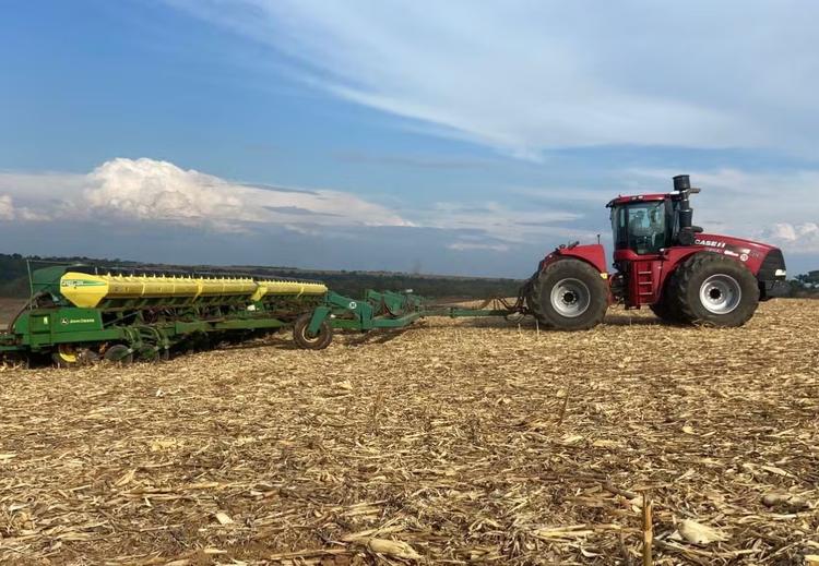 El Niño pode reduzir safra de soja do Brasil em 10%, projeta Serasa