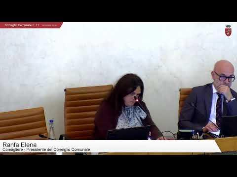 Consiglio Comunale n. 11