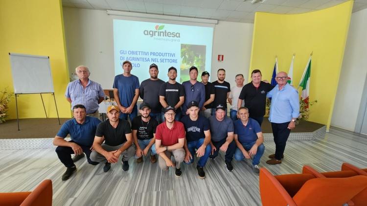 Missão técnica da Cooperativa Vinícola Garibaldi leva inovação da Itália a cooperados