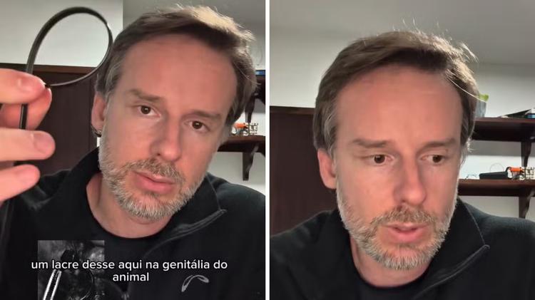 Cão comunitário tem genitália mutilada com lacre em SC e biólogo desabafa: ‘humanidade está doente’