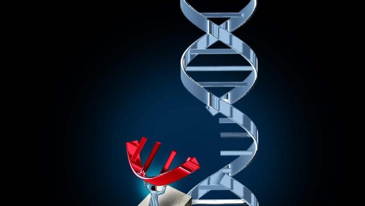 A New Toolbox Allows Engineering Genomes Without CRISPR