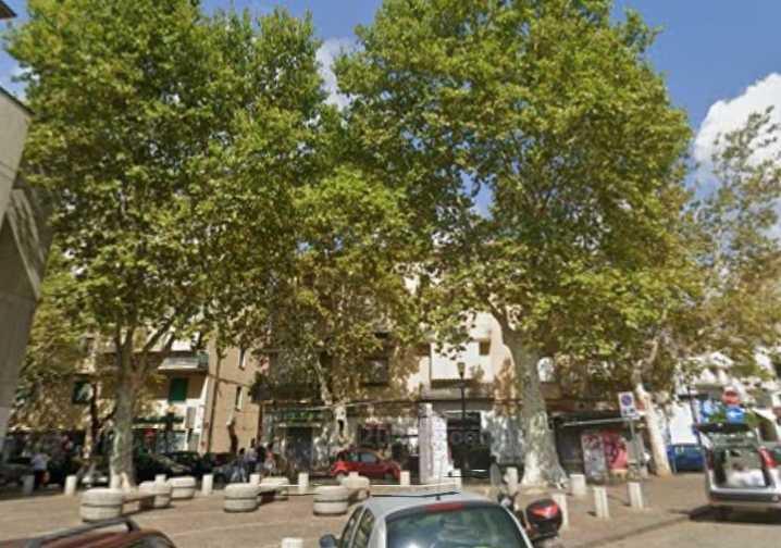 Eboli, paura in viale Amendola, si stacca un grosso ramo: colpito un 78enne