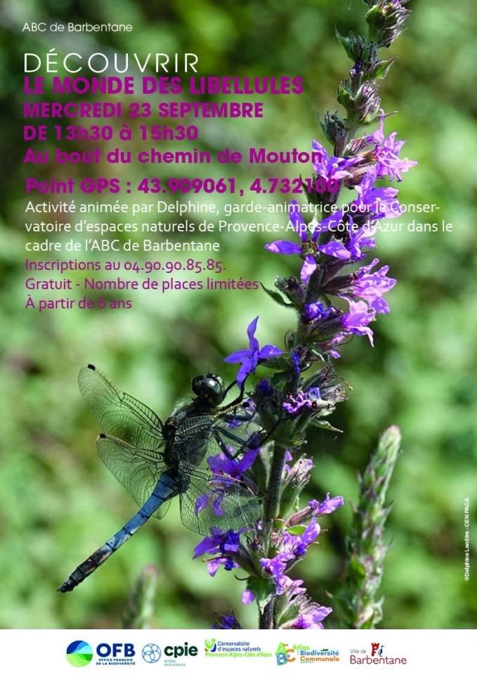 À LA DÉCOUVERTE DES CHAUVES-SOURIS ET DES LIBELLULES À BARBENTANE