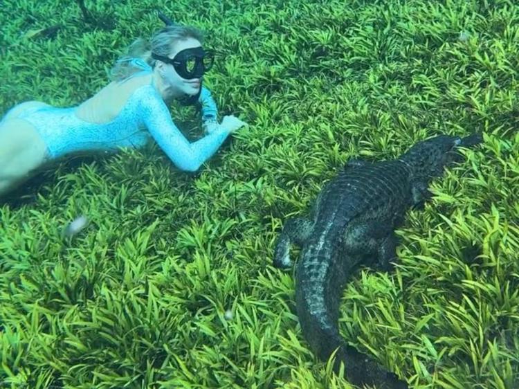 Recordista mundial que desafia os limites da respiração encara jacaré e desbrava profundezas de Bonito