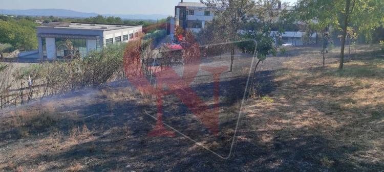 candia canavese incendio boschivo verso barone canavese