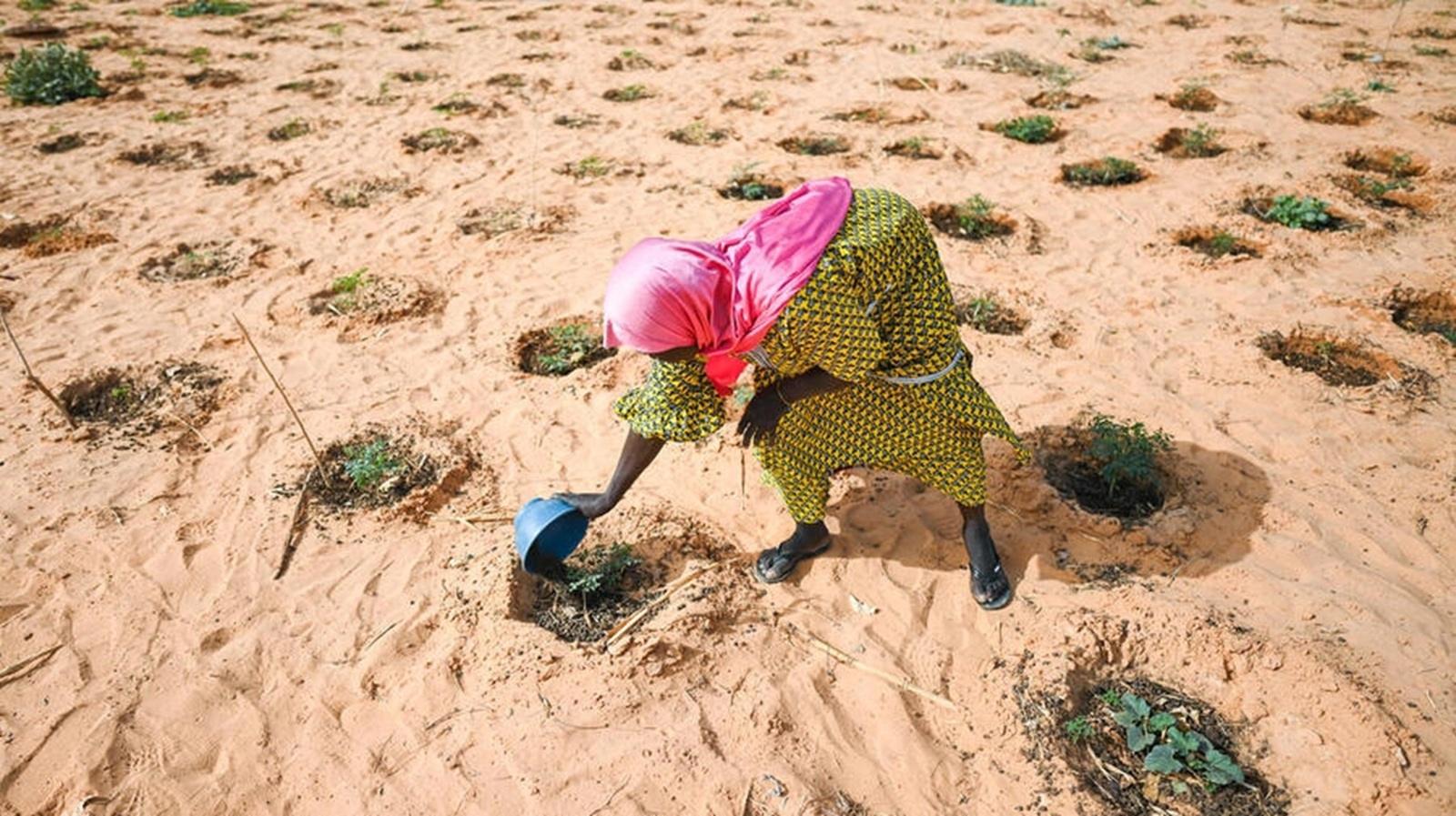 The World is Still Waiting for a More Ambitious Ecological Project, in Africa