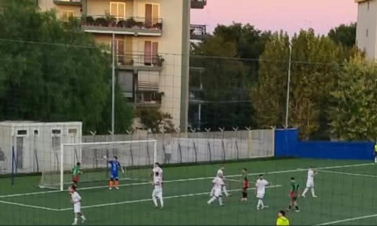 Troppo Canosa per la Polimnia: finisce 0-4