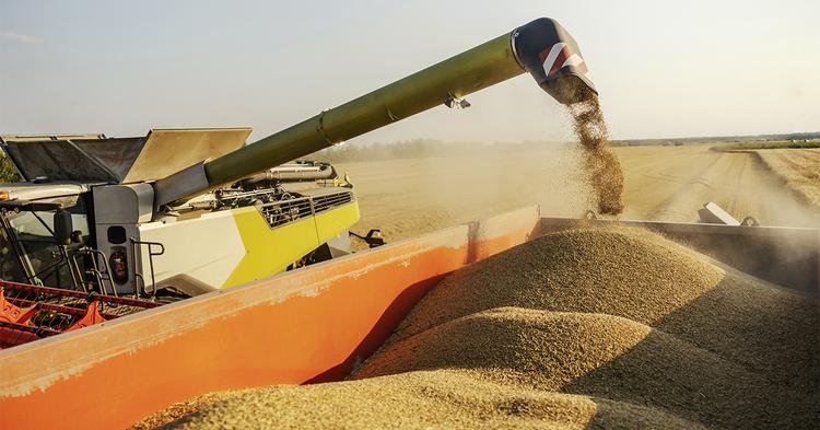 UE pode reduzir em 95% importação de soja brasileira com tolerância zero a agrotóxicos