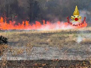 Incendi, due poderi difesi dai pompieri vicino a Scansano