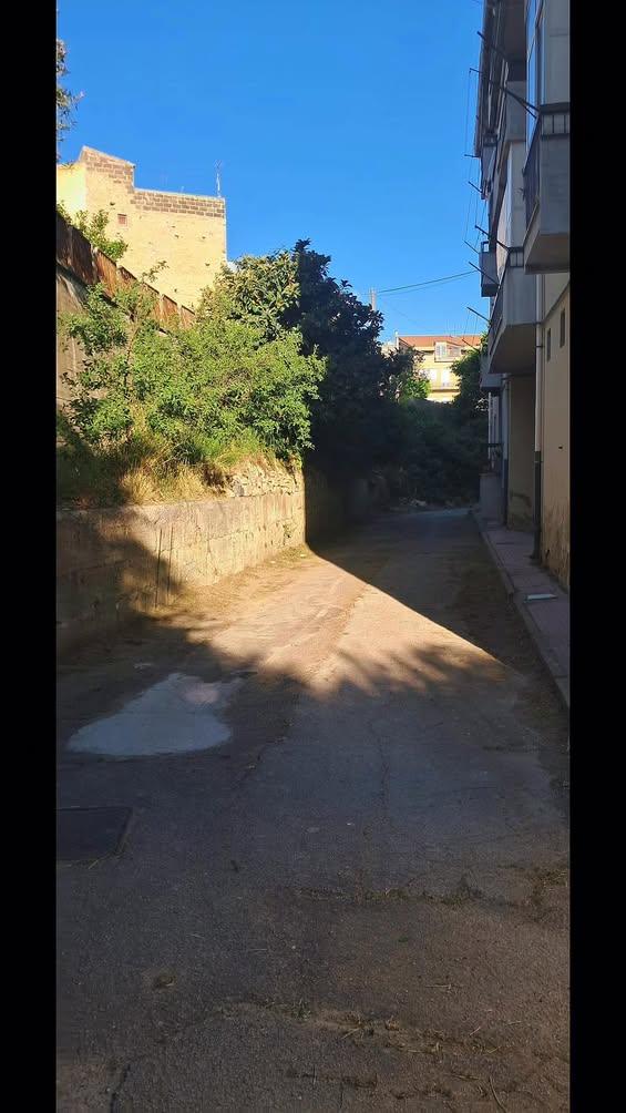 Ordinaria amministrazione, presenza costante. Pulizia e decespugliamento: interventi concreti, fatti sul territorio. Ci...