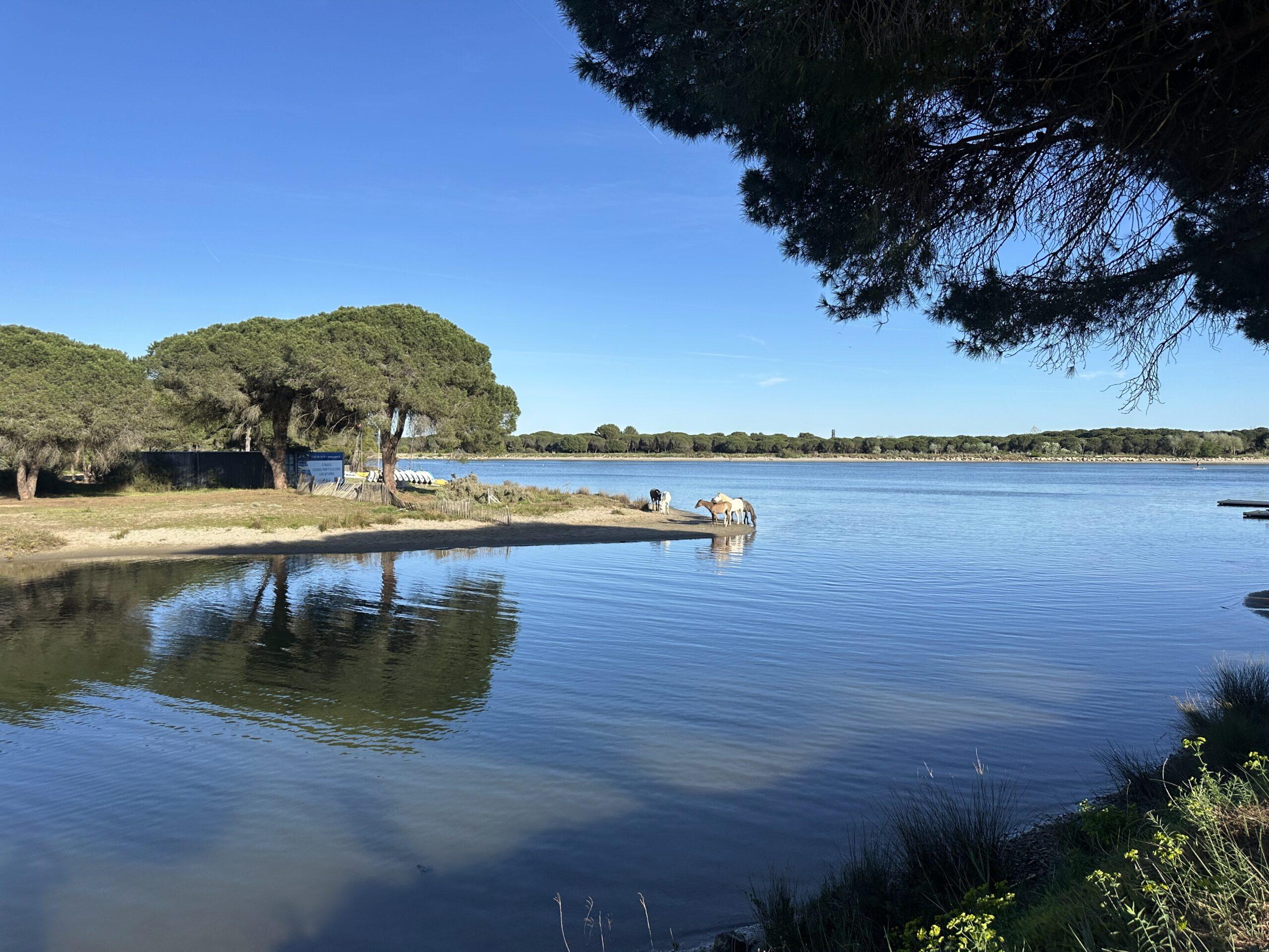 Une semaine de vacances ensoleillée à Montpellier