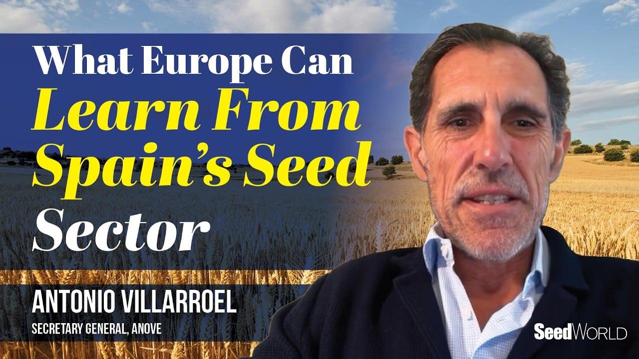 Antonio Villarroel on Spain’s Plant Breeding Future