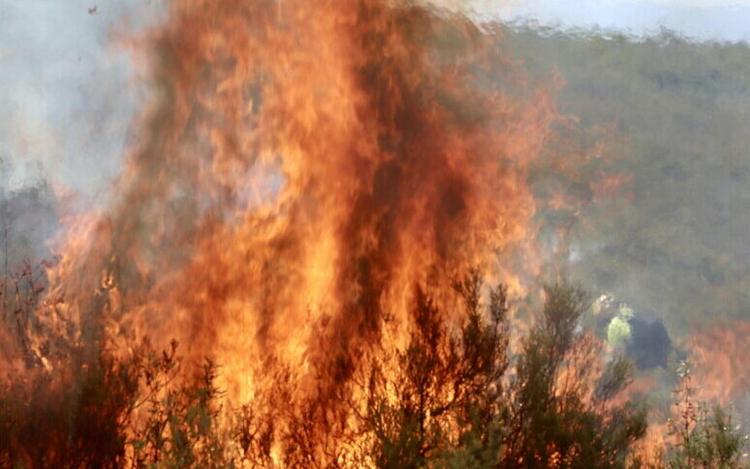 Maxi incendi tra Francia e Spagna, oltre 220mila evacuati: l'esercito in campo, Madrid dichiara l'emergenza nazionale