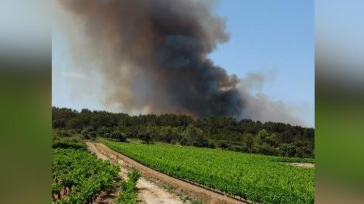 Le feu a parcouru une dizaine d'hectares sur la commune de Guzargues. 