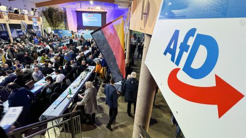 Plan de "remigration" : le RN a demandé un "engagement écrit" à l'AfD pour que ce projet ne fasse jamais partie du programme du parti d'extrême droite allemand
