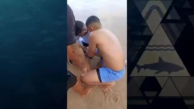 Dois ataques em menos de 24h: veja detalhes exclusivos sobre incidentes com tubarão no litoral de Pernambuco