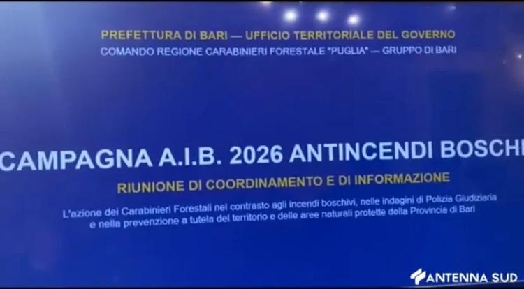 Prefettura Bari, il punto su incendi boschivi: lieve aumento