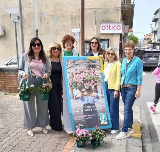 Un fiore diventato negli anni simbolo di speranza, prevenzione e sostegno concreto alla ricerca scientifica.  In occasio...
