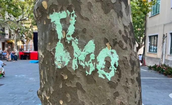 Vandalismo a Caselle in Pittari, la dura reazione del sindaco Nuzzo