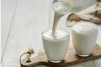Alimenti, studio UniFi sui benefici dei lieviti del kefir