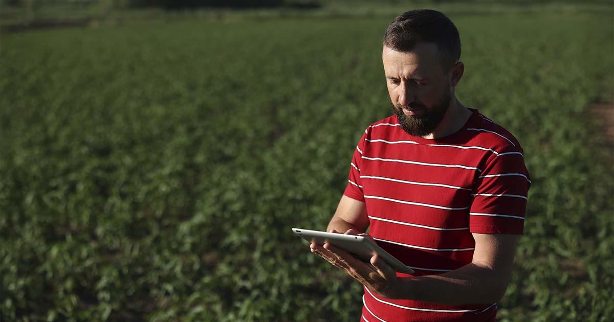 Quem paga a conta da inovação no agro?
