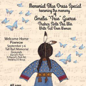 Memorial Blue Dress Special 2026